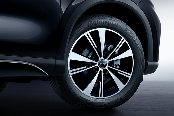 Sports Wheelhub